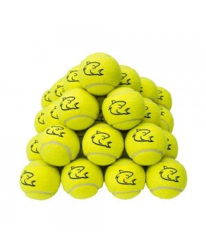 Shark Tennis Balls Lot de 30 balles de tennis jaunes de haute qualité pour tennis, cricket, enfants, chiens